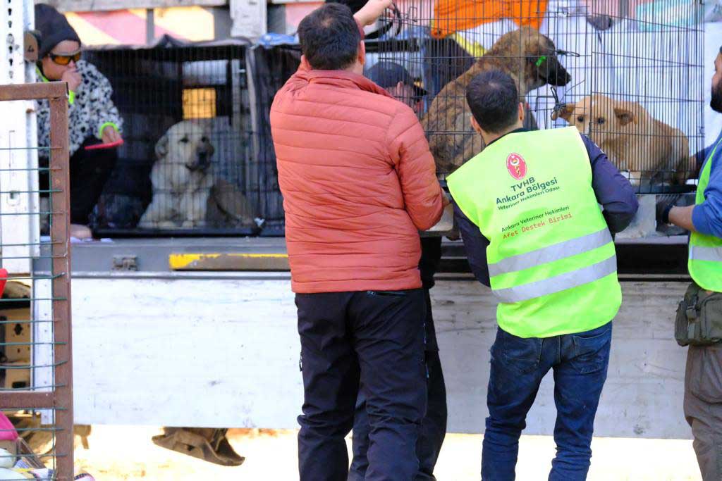 Ankara Veteriner Hekimleri Görev Başında