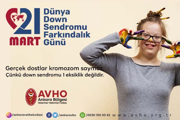 21 Mart Dünya Down Sendromu Farkındalık Günü Kutlu Olsun!