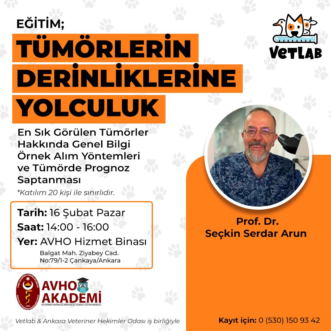 Tümörlerin Derinliklerine Yolculuk!