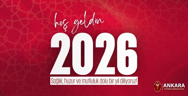 Hoş Geldin 2026