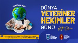 Ankara Kent Ekranlarında Dünya Veteriner Hekimler Günü Farkındalığı