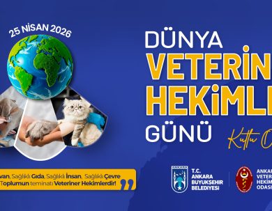 Ankara Kent Ekranlarında Dünya Veteriner Hekimler Günü Farkındalığı