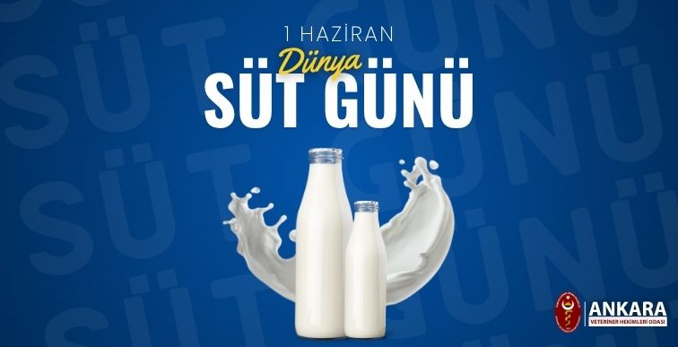 1 Haziran Dünya Süt Günü Kutlu Olsun!