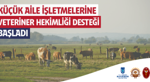 Ankara’da 2.531 Yetiştiriciye Veteriner Hekimlik Desteği Sağlandı