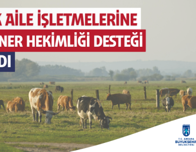 Ankara’da 2.531 Yetiştiriciye Veteriner Hekimlik Desteği Sağlandı