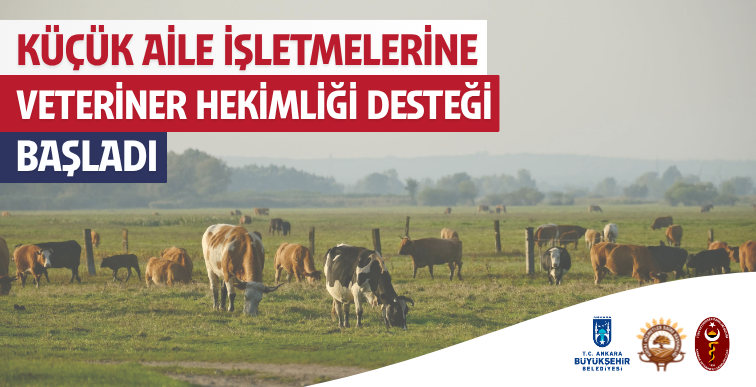 Ankara’da 2.531 Yetiştiriciye Veteriner Hekimlik Desteği Sağlandı